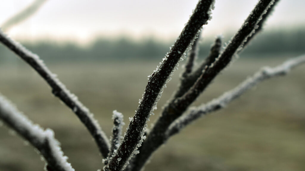 Ledeno jutro i oblačan dan (Foto Pexels)