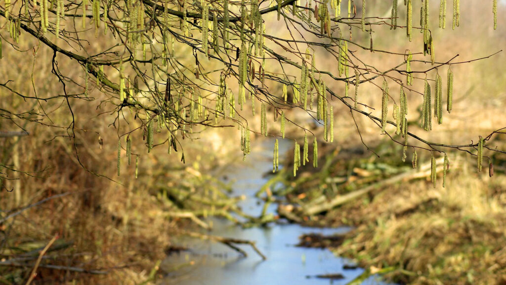 Uglavnom sunčano i malo toplije, ilustracija (Foto Pixabay)