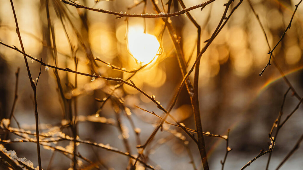 Vrlo hladno jutro i sunčan ostatak dana Vrlo hladno jutro i sunčan ostatak dana (Foto Pexels)