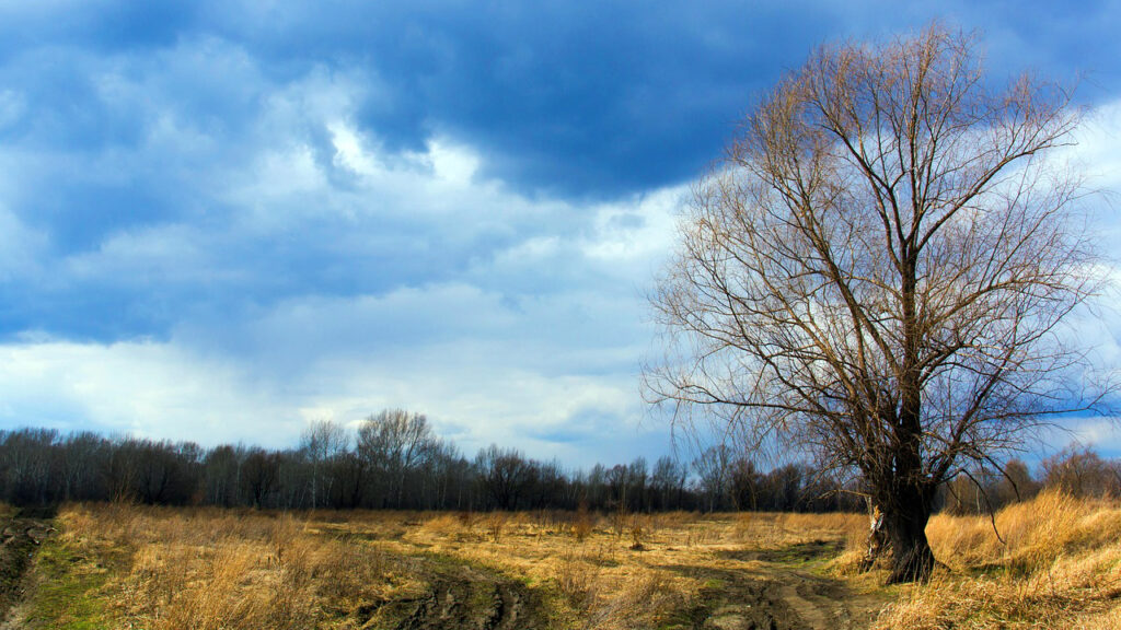 Delimično oblačno i vrlo toplo za ovo doba godine, ilustracija (Foto Pixabay)