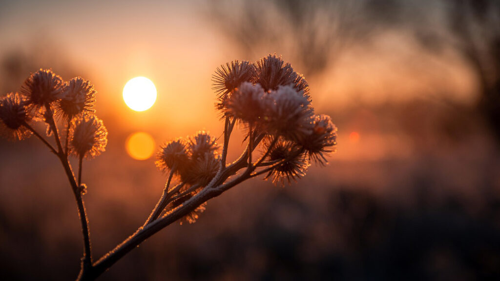Hladno jutro i pretežno sunčan dan, ilustracija (Foto Pixabay)