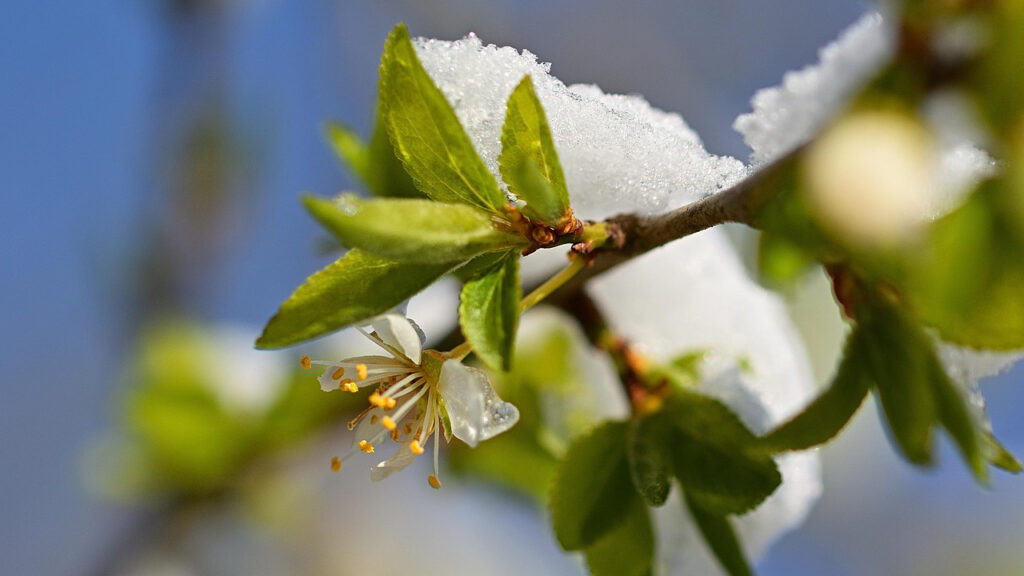 Hladno jutro i sunčani periodi tokom dana Hladno jutro i sunčani periodi tokom dana, ilustracija (Foto Pixabay)