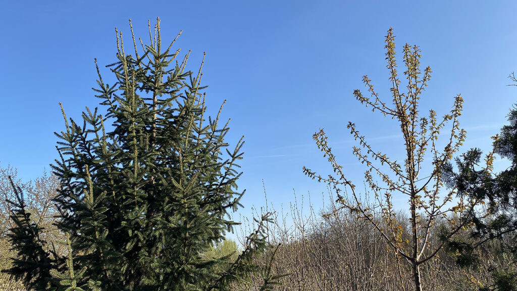 Malo toplije i uglavnom sunčano Sunčano, uz povremenu oblačnost (Foto Kim)
