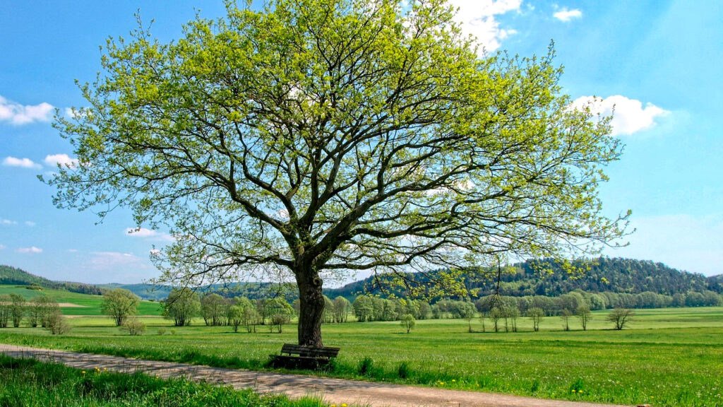 Sunčano i malo toplije, ilustracija (Foto Pixabay)