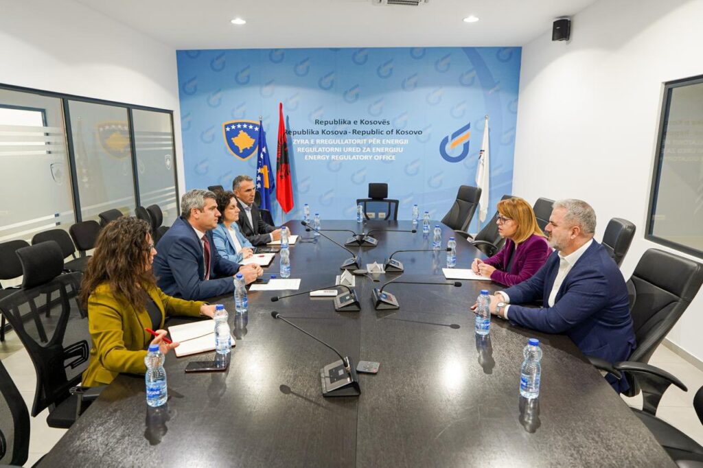 DSK predao RUE zahtev za poništenje odluke o poskupljenju struje (Foto: Demokratski savez Kosova)