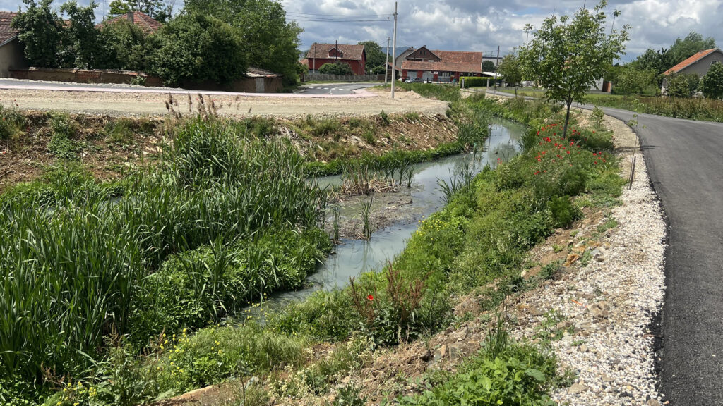 Smrad iz Gračanke i dalje problem: Meštani ćute iz straha, institucije ne reaguju (Foto Kim)