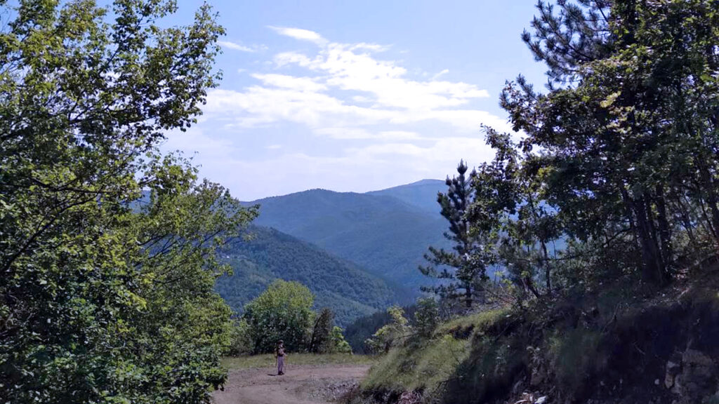 Pretežno sunčano i stabilno (Foto arhiva Kim)