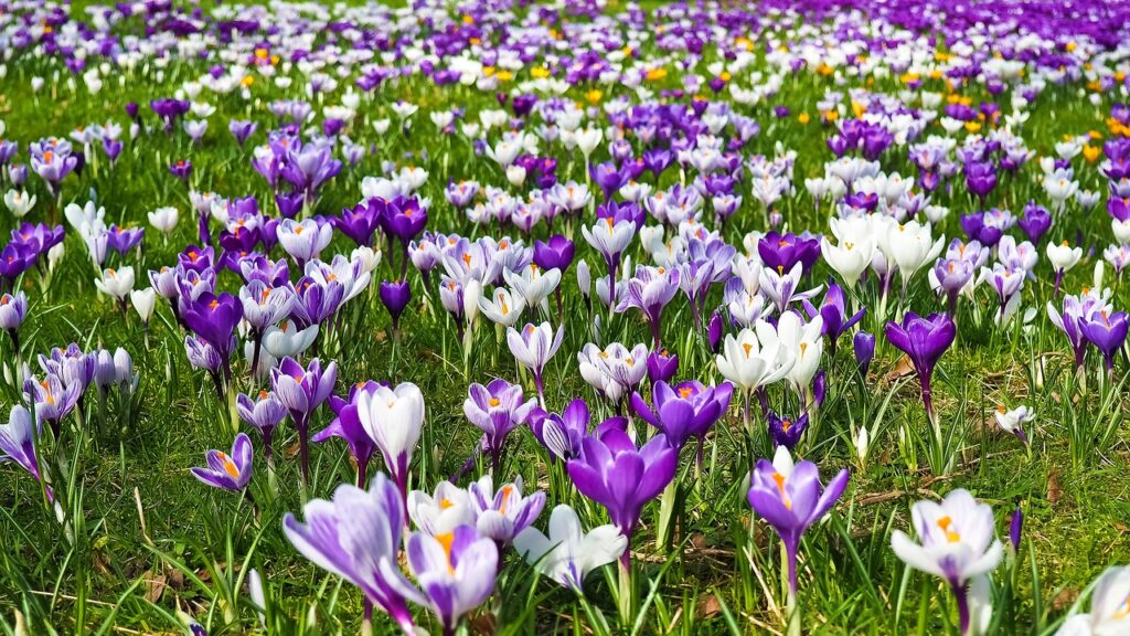 Sunčano ali sveže Sunčano ali sveže (Foto Pixabay)