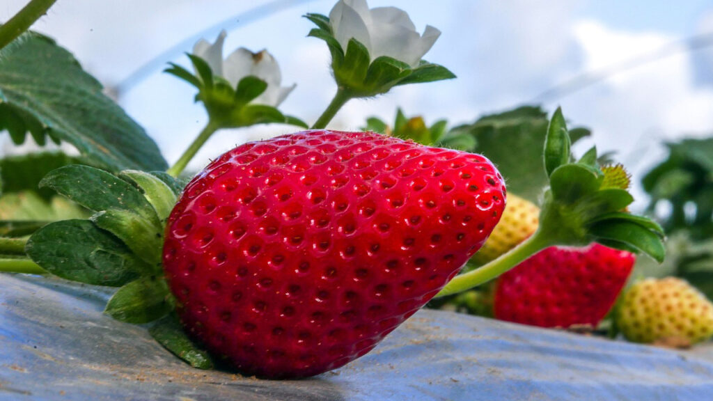Delimično oblačno, mogući pljuskovi sa grmljavinom Ilustracija (Foto Pixabay)