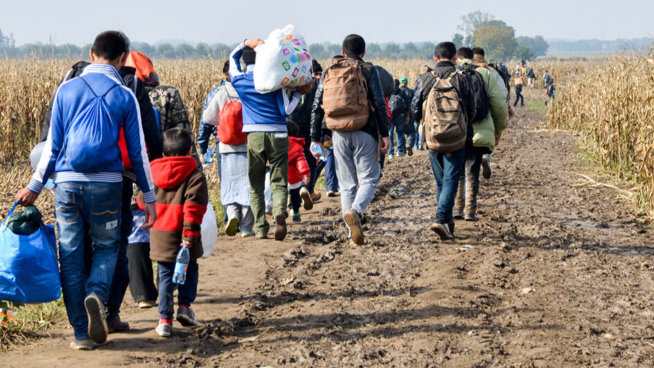 Kosovo će primiti do 50 migranata iz SAD u roku od godinu dana Kosovo će primiti do 50 migranata iz SAD u roku od godinu dana (Foto Shutterstock)