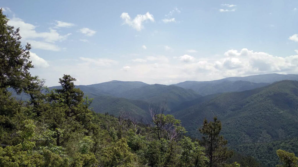 Oblačno, tokom dana moguća kiša (Foto arhiva Kim)