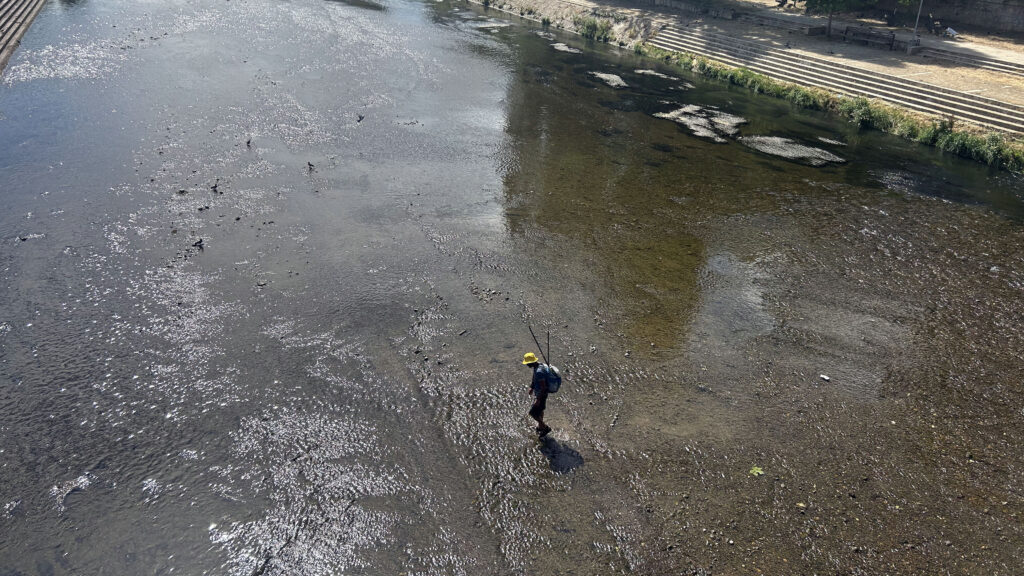 Toplo i sunčano Toplotni talas i naredna dva dana (Foto Kim)