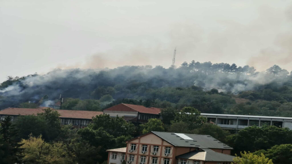 Agencija za vanredne situacije: U poslednjih osam sati registrovano 29 požara