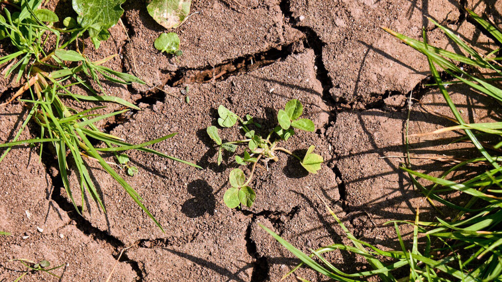 Klimatske promene nisu prestale Klimatske promene nisu prestale, poručeno iz Službe za klimatske promene Kopernikus (Foto Pixabay)