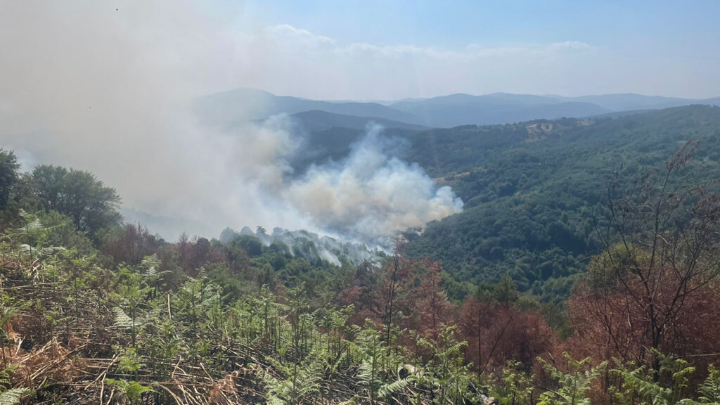Na Kosovu danas registrovano 87 požara
