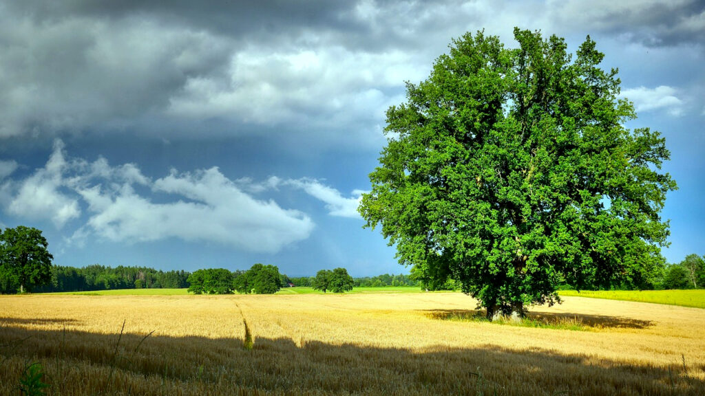 Pretežno oblačno sa povremenom kišom, razvedravanje kasno popodne (Foto Pixabay)