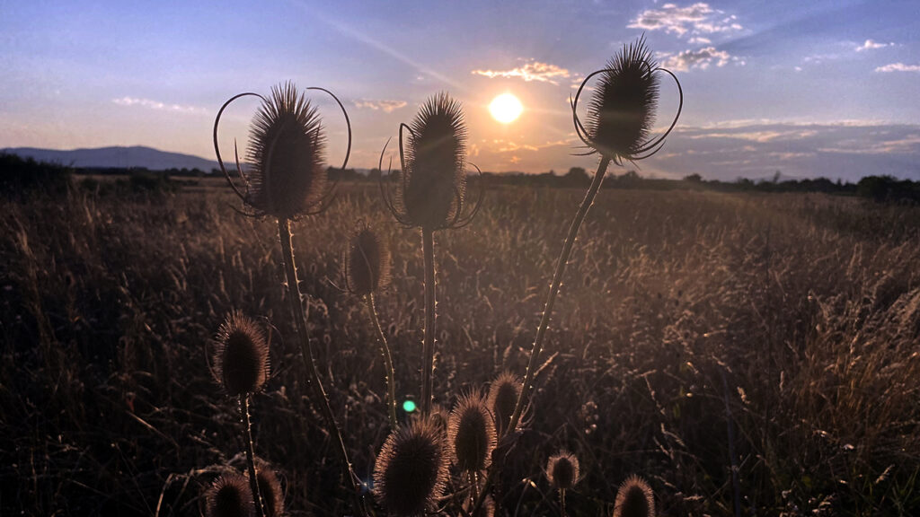 Promenljivo oblačno vreme sa dužim sunčanim intervalima Promenljivo oblačno vreme sa dužim sunčanim intervalima (Foto Kim)