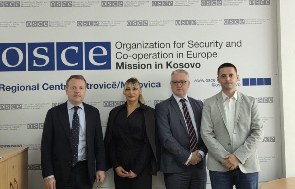 Predstavnici Srpske demokratije razgovarali sa zvaničnicima OEBS-a o položaju Srba na Kosovu (Foto Srpska demokratija)