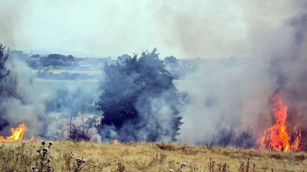 Na Kosovu juče 36 požara, četiri su još uvek aktivna Na Kosovu juče 36 požara, četiri su još uvek aktivna (Foto Agencija za upravljanje vanrednim situacijama)