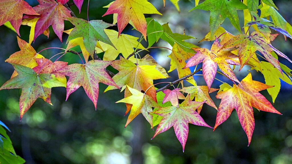 Oblaci i sunce, ali i dalje sveže Oblaci i sunce, ali i dalje sveže, ilustracija (Foto Pixabay)
