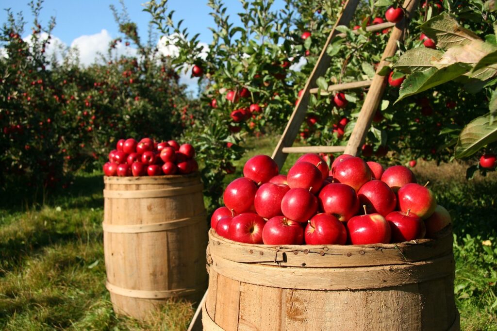 Topao septembarski dan (Foto Pixabay)