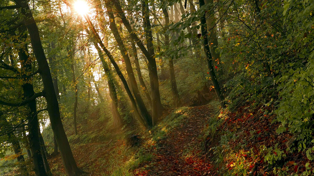 Tokom dana pretežno sunčano, ilustracija (Foto Pixabay)