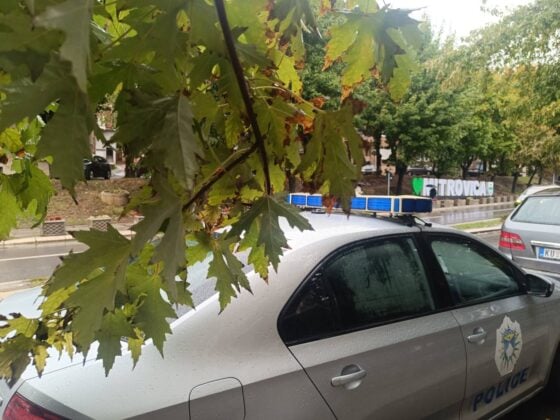 Da li i zašto Kosovska policija čuva novopostavljeni znak „Mitrovica“? (Foto KoSSev)