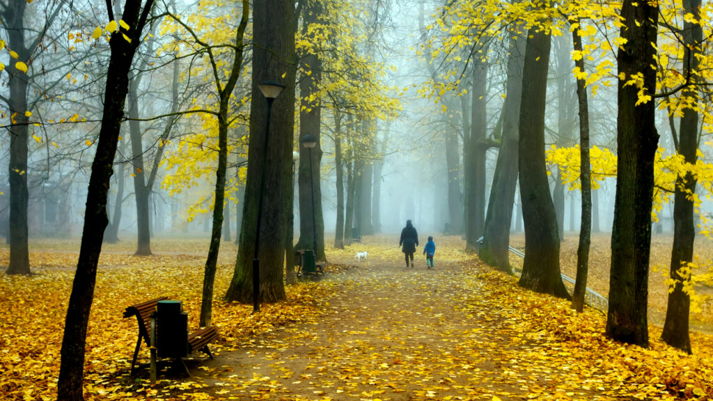 Hladno jutro i pretežno sunčan dan, ilustracija (Foto Freepik)
