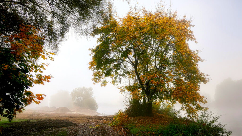 Hladno jutro, suvo i toplije tokom dana Hladno jutro, suvo i toplije tokom dana, ilustracija (Foto Pixabay)