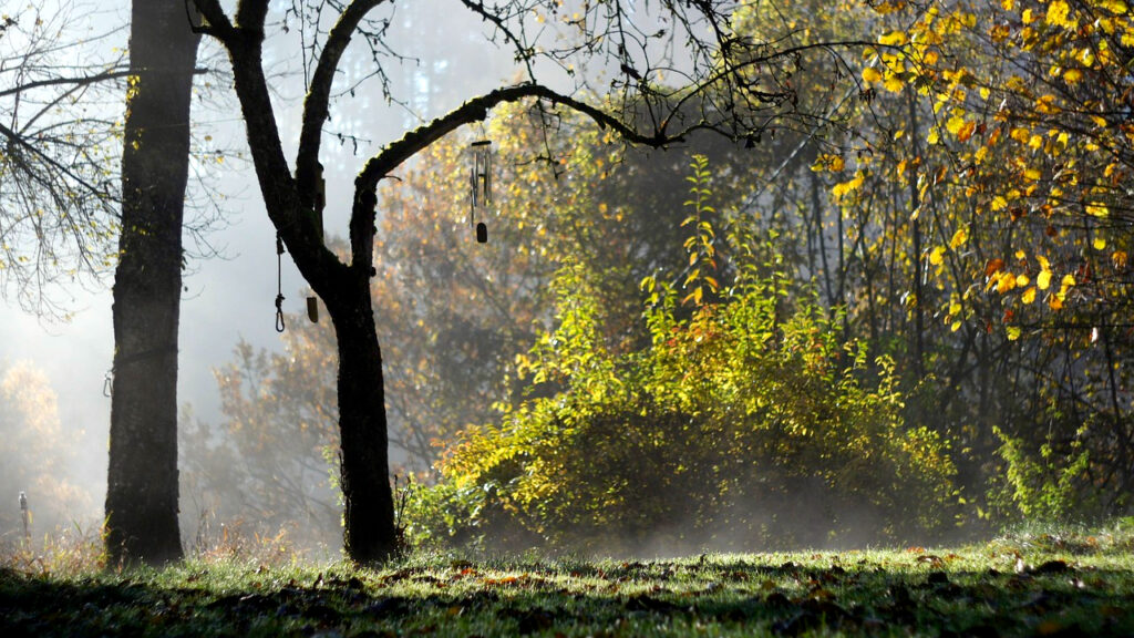 Ponegde sa slabom kišom, oblačno i toplije Ponegde sa slabom kišom, oblačno i toplije, ilustracija (Foto Pixabay)