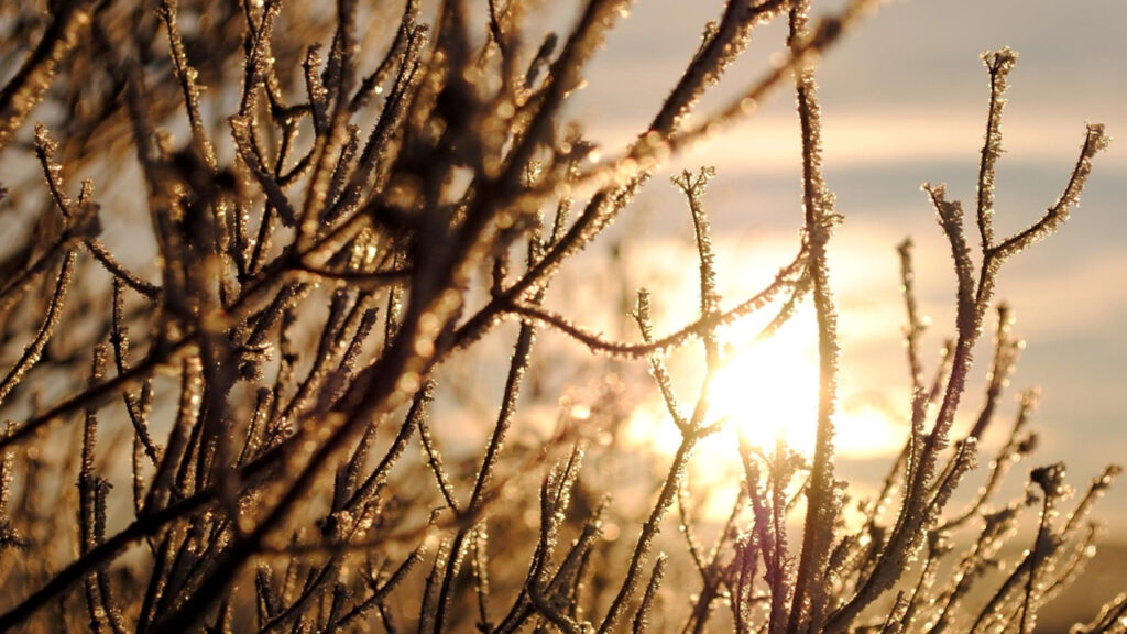 Postepeno toplije Postepeno toplije vreme, ilustracija (Foto Pixabay)