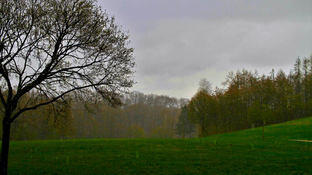 Susnežica i slab sneg, ilustracija (Foto Pixabay)