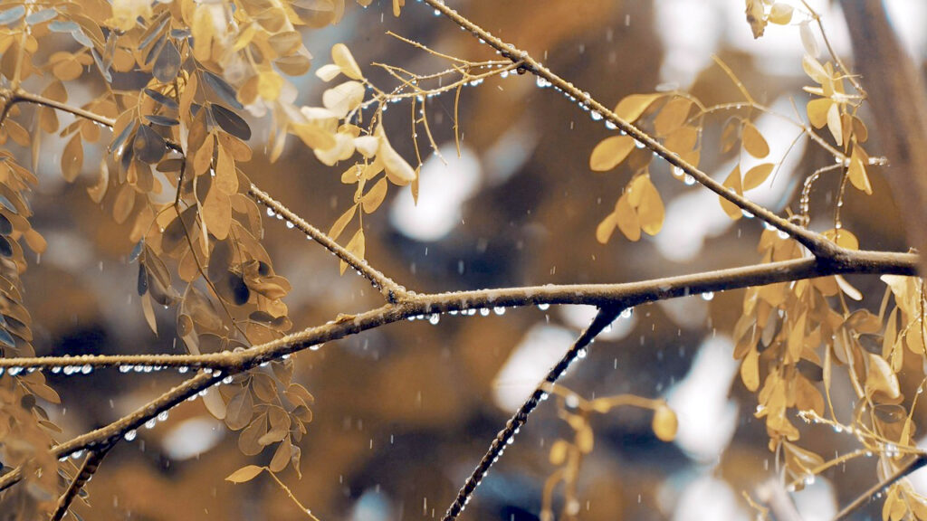 Tmurno, mestimično sa kišom Tmurno, mestimično sa kišom, ilustracija (Foto Pixabay)