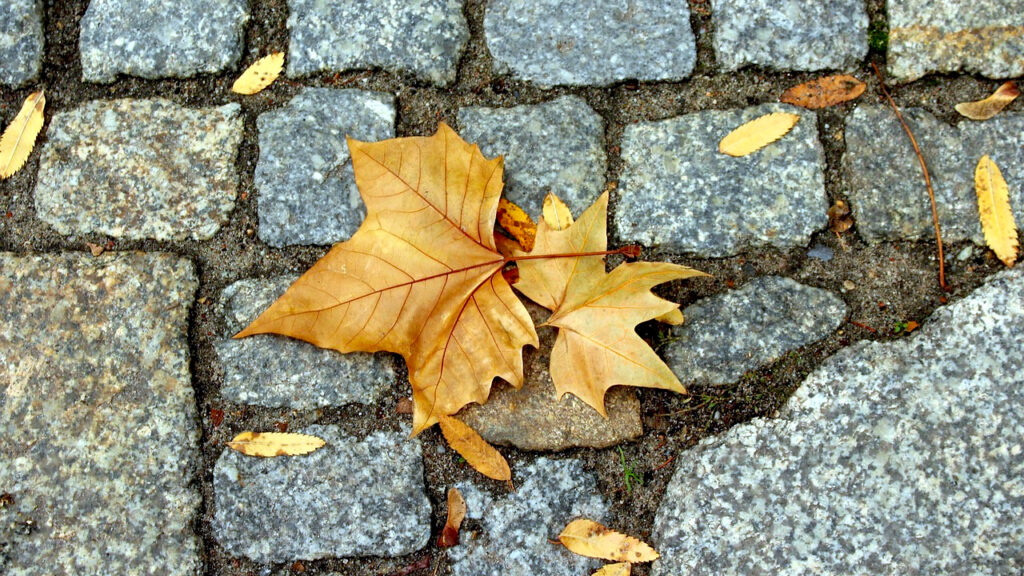 Umereno i malo oblačno, suvo i svežije Umereno i malo oblačno, suvo i svežije (Foto Pixabay)