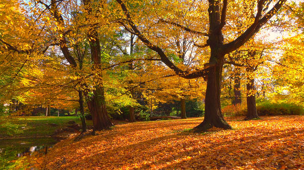 Hladno jutro i sunčani periodi tokom dana Hladno jutro i sunčani periodi tokom dana (Foto Istock)