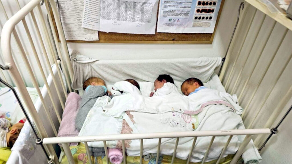 Ministarka za brigu o porodici i demografiju Jelena Žarić Kovačević najavila formiranje Saveta za porodicu i demografiju, ilustracija (Foto arhiva Kim)