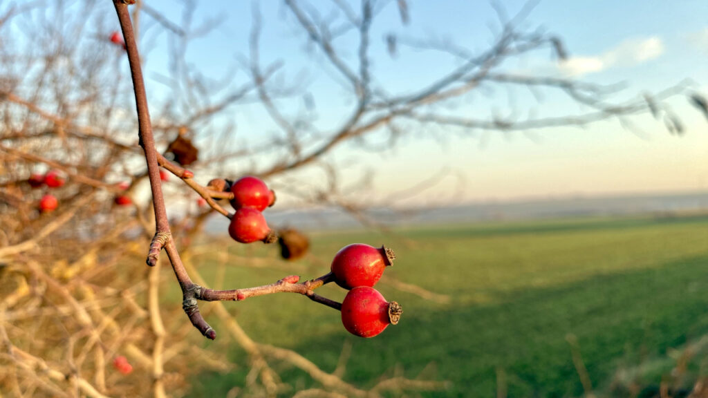 Pretežno vedro i hladno Pretežno vedro i hladno, ilustracija (Foto Kim)