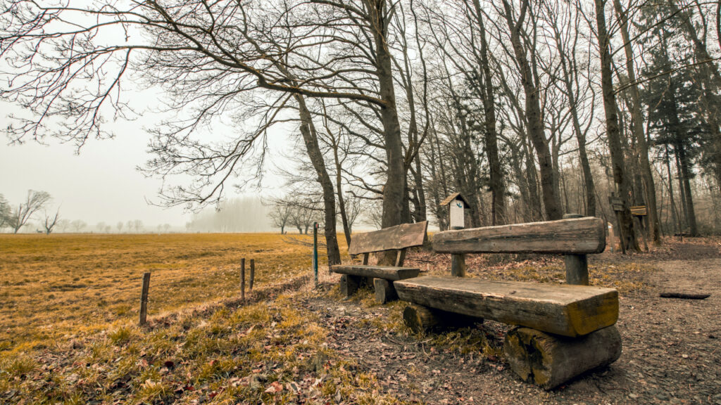 Stabilno vreme sa čestom pojavom magle Stabilno vreme sa čestom pojavom magle, ilustracija (Foto Pixabay)