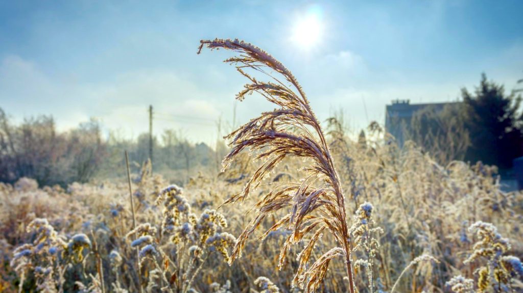 Ledeni dan sa dužim sunčanim intervalima, ilustracija (Foto Pixabay)