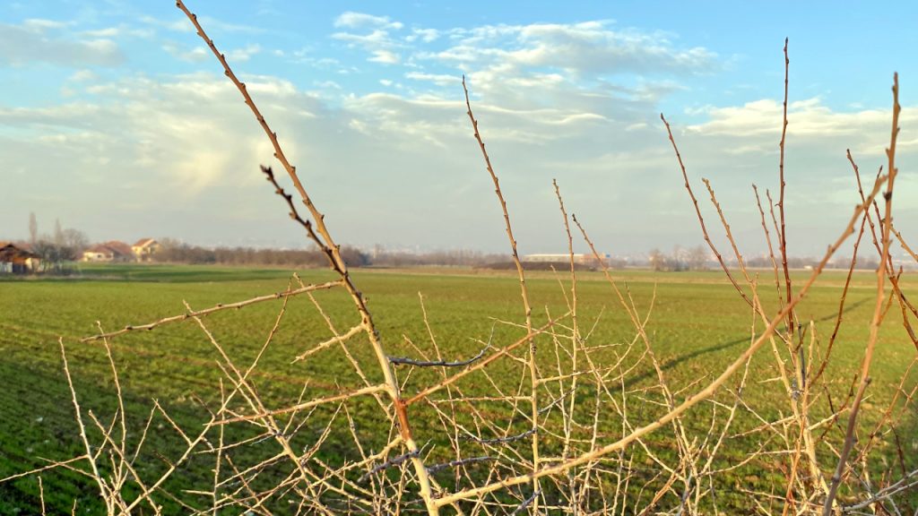 Malo hladnije i promenljivo Malo hladnije i promenljivo, ilustracija (Foto Kim)