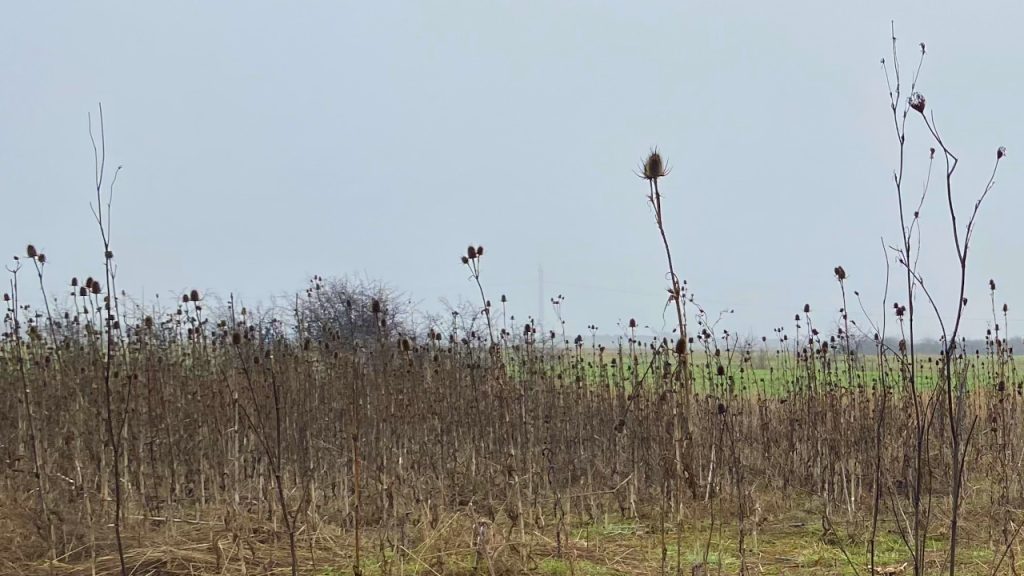 Uglavnom oblačno i suvo Uglavnom oblačno i suvo, ilustracija (Foto Kim)