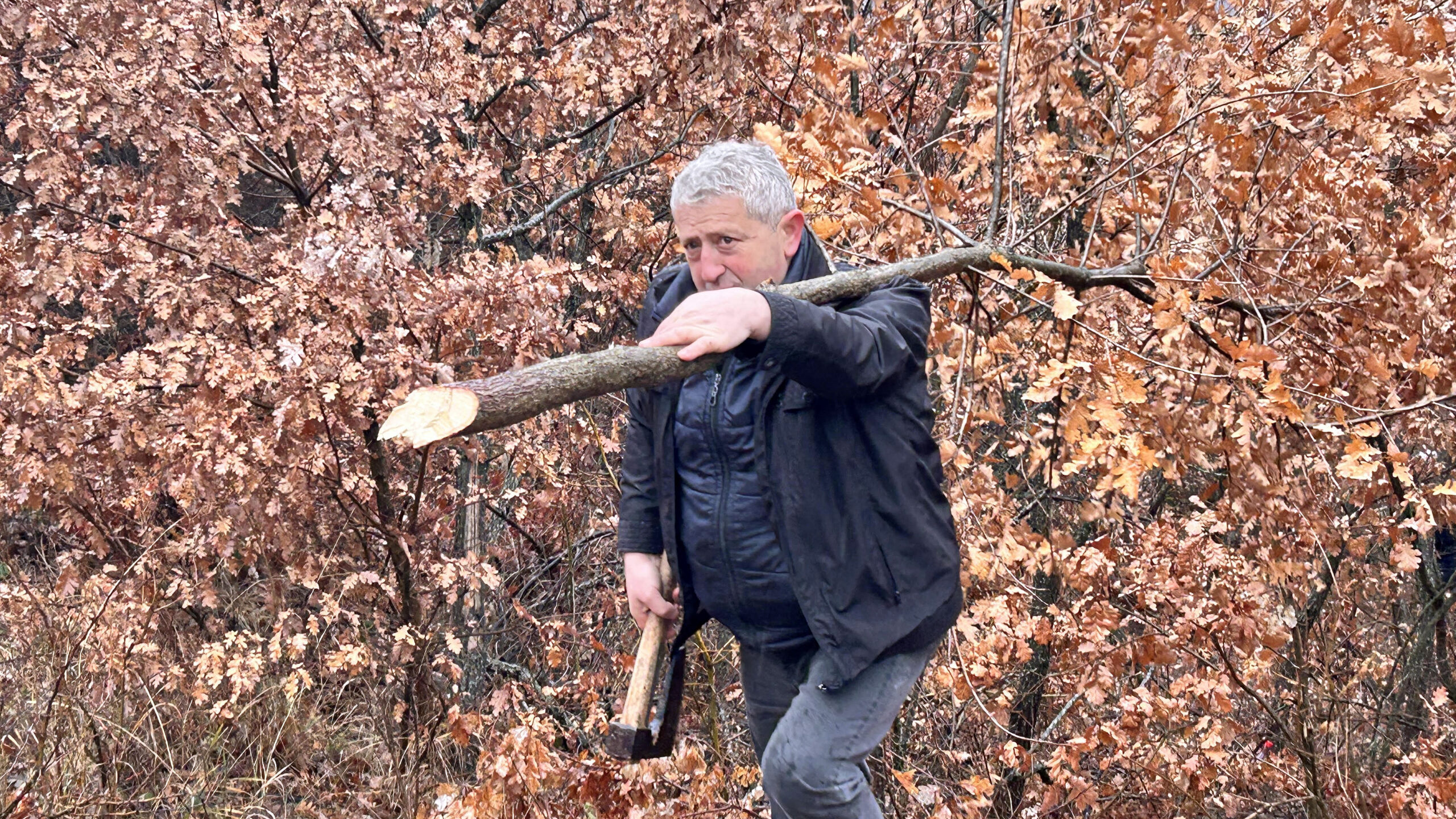 Nebojša Josifović (Foto Kim)