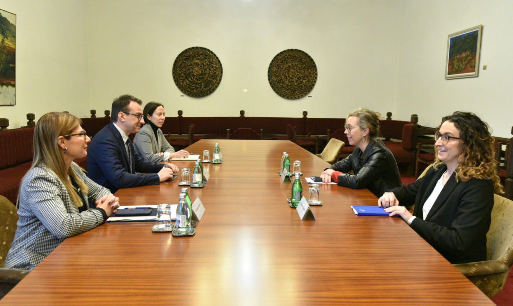 Petković francuskoj ambasadorki: Prosveta i zdravstvo temelj za ZSO