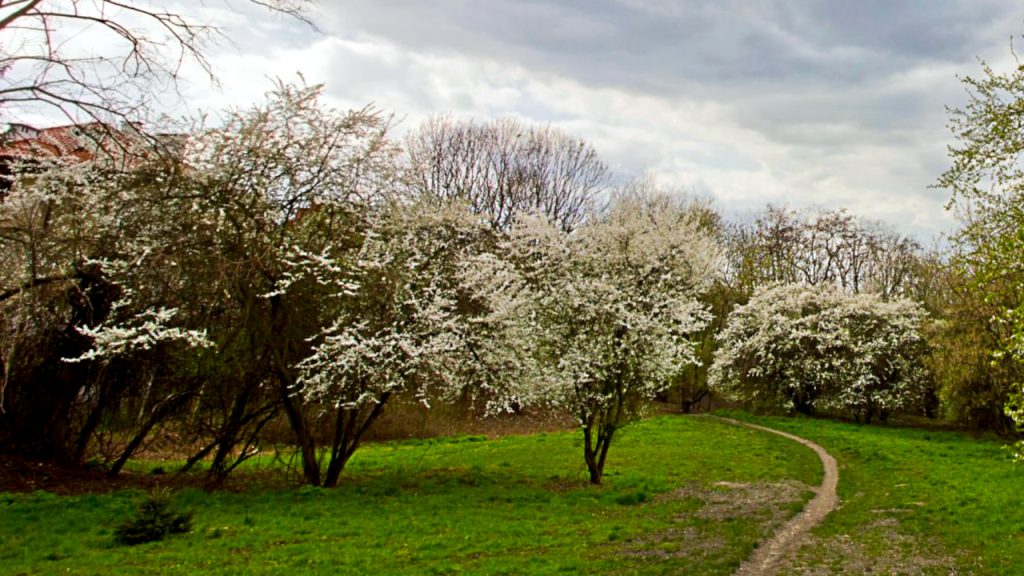 Uglavnom oblačno i hladno, ilustracija (Foto iStock)