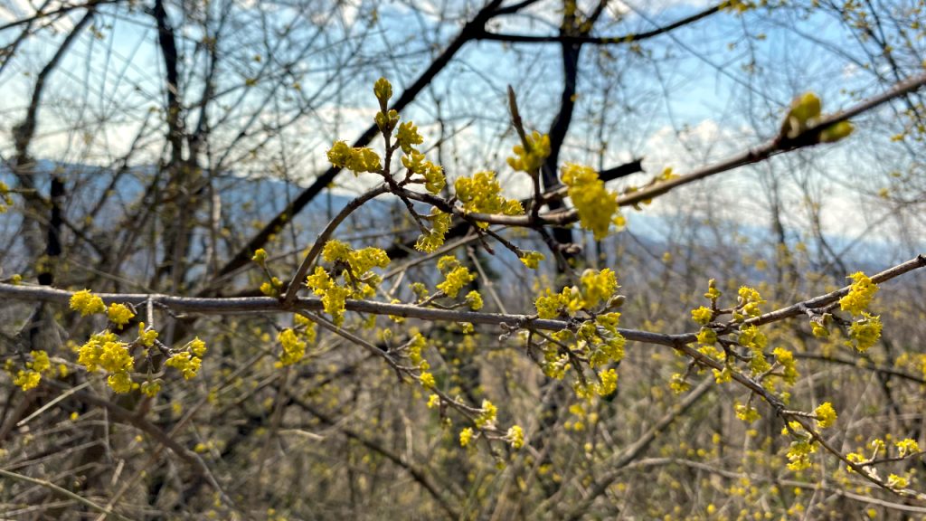 Uglavnom stabilno vreme - jutro hladno, tokom dana promenljivo, ilustracija (Foto Kim)