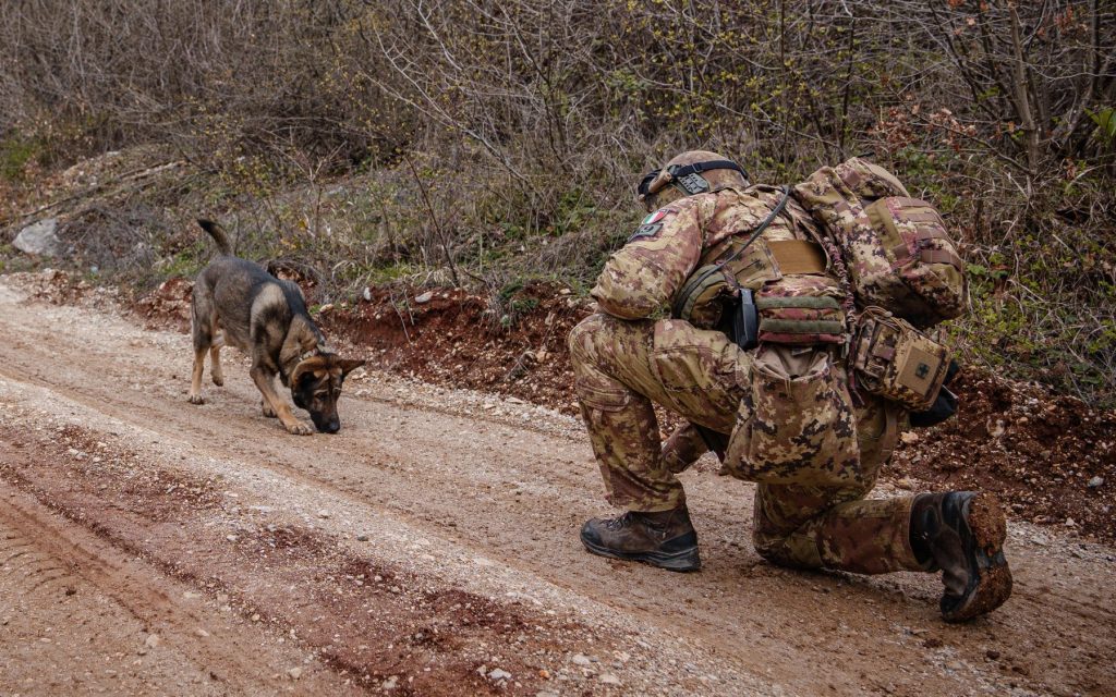 KFOR sproveo pešačke patrole uz podršku K9 jedinica KFOR sproveo pešačke patrole uz podršku K9 jedinica (Foto KFOR)