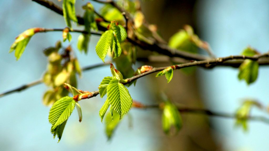 Oblačno i hladnije sa kišom, ilustracija (Foto Pixabay)