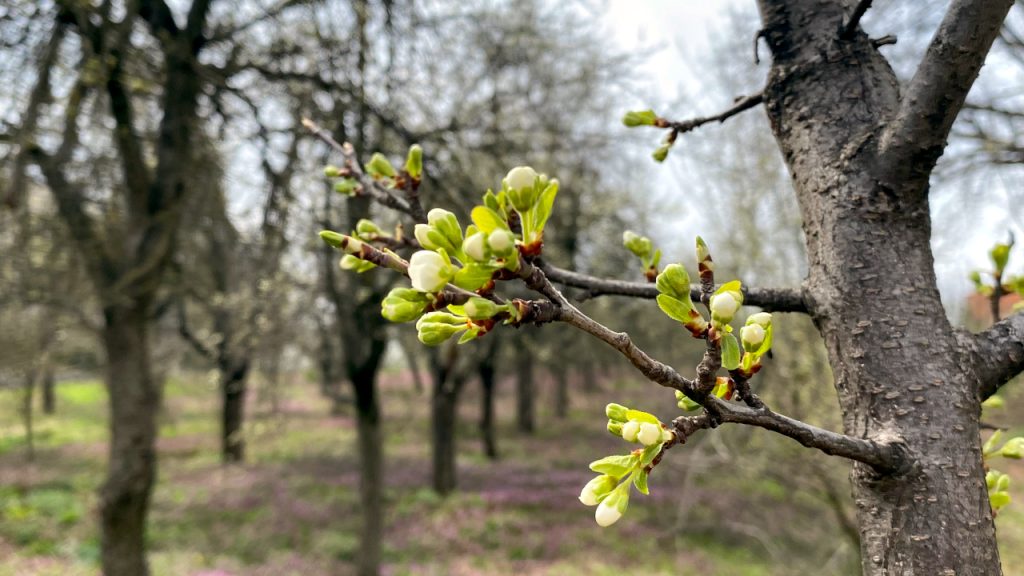 Oblačno sa slabim padavinama ponegde, ilustracija (Foto Kim)