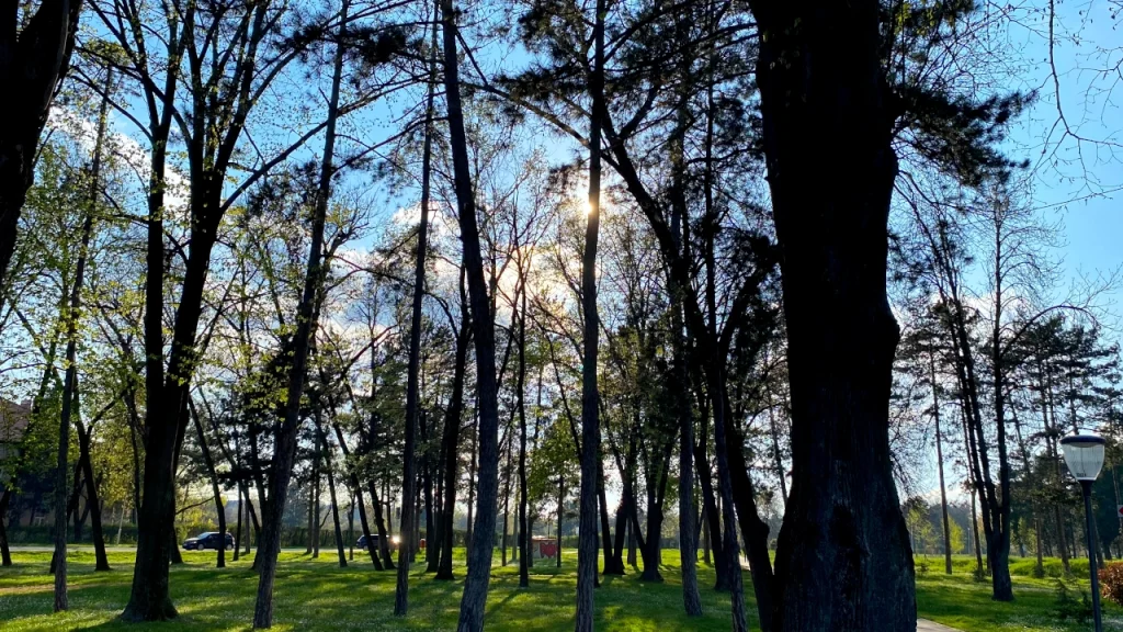 Promenljivo oblačno i vetrovito, ilustracija (Foto Kim)