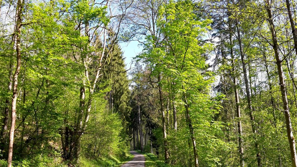 Promenlјivo oblačno i uglavnom suvo, ilustracija (Foto Pixabay)